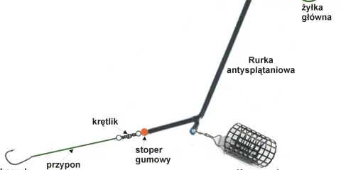 Schemat zestawu do łowienia na spławik z gruntu: żyłka, rurka antysplątaniowa, krętlik, stoper gumowy, przypon i haczyk.