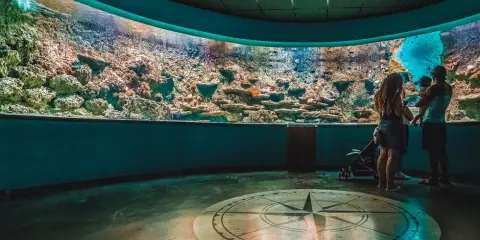 Familia observa un acuario en uno de los museos en Sevilla. Un compás en el suelo marca el camino.