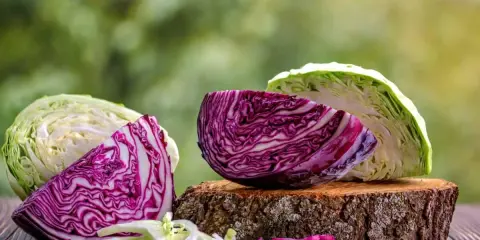 Cavolo cappuccio bianco e rosso, tagliato a spicchi e sminuzzato, su un tavolo di legno con sfondo verde sfocato.