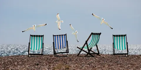 Plaża z leżakami i mewami w locie. Czy urlop przechodzi do nowej pracy?