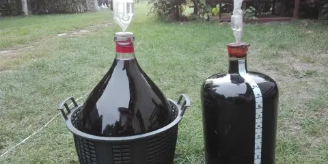 Ile drożdży na 5l wina? Klucz do idealnej fermentacji!