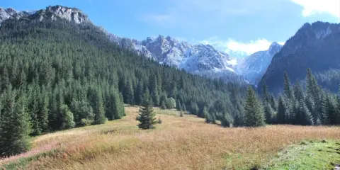 Dolina Kościeliska zachwyca jesiennym krajobrazem. Ile się idzie? Tyle, ile potrzeba, by poczuć spokój gór.