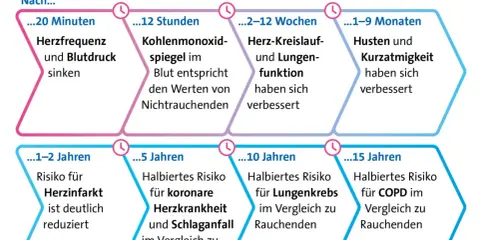 Rauchstopp verbessert Durchblutung: Herzfrequenz sinkt, Risiko für Herzinfarkt und Lungenkrebs reduziert sich.
