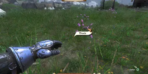 Wskazówka do Kingdom Come Deliverance: zbierz osty, by tworzyć mikstury.