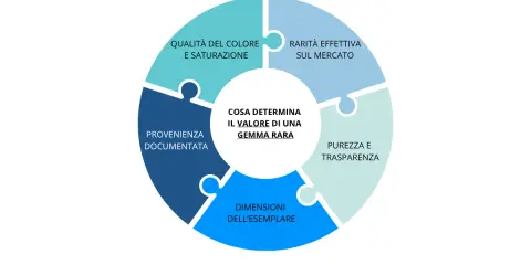 Diagramma a cerchio che illustra i fattori che determinano il valore di una gemma rara: qualità, rarità, purezza, dimensioni e provenienza.