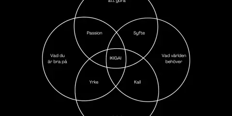 Diagrammet visar Ikigai, en japansk modell för att finna mening. Det hjälper till att uppnå högre medvetenhet genom att kombinera passion, yrke, kall och vad världen behöver.