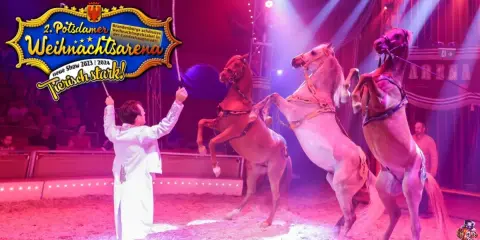 Arena der Attraktionen: Zirkus vs. Phantasialand - Was passt?