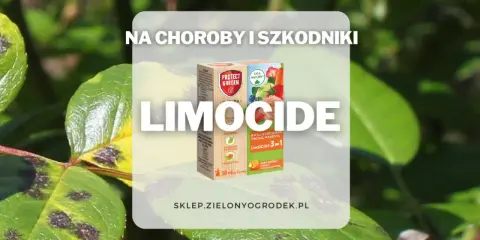Ratunek dla roślin! Limocide zwalcza choroby i szkodniki, przywracając im zdrowy wygląd.