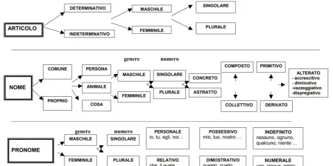 Schema per l'analisi grammaticale: articolo, nome e pronome con genere, numero e altre categorie. Un vero capostazione per l'analisi grammaticale.