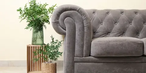 Sofá Chesterfield gris con tapizar de terciopelo, junto a plantas verdes en un jarrón y maceta.