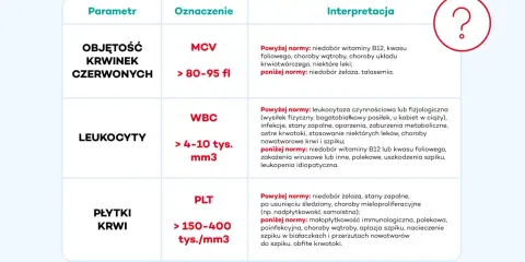 Tabela interpretacji parametrów morfologii krwi: MCV, WBC, PLT. Czy morfologia musi być na czczo? Tabela nie odpowiada na to pytanie, ale wyjaśnia wyniki.