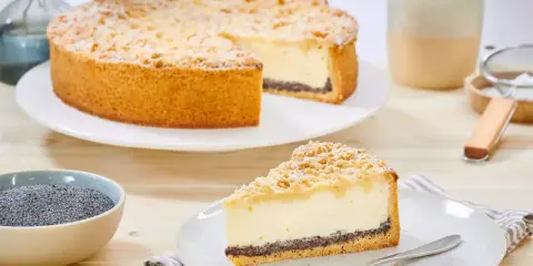 Ein köstlicher Mohn Schmand Kuchen mit Streuseln und Puderzucker. Daneben eine Schale Mohn und eine Tasse Kaffee.