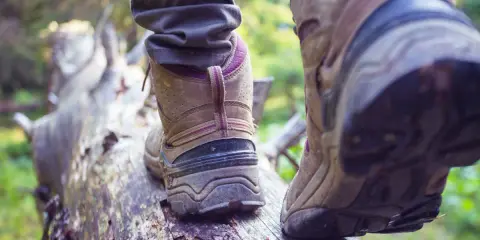 Osoba w butach trekkingowych stąpa po powalonym drzewie. Czy buty trekkingowe powinny być większe? Zapewniają stabilność na nierównym terenie.