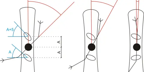 Ilustracja pokazuje różne kąty ustawienia wiązań snowboardowych: 50/45, 30/20 i 15/-10.