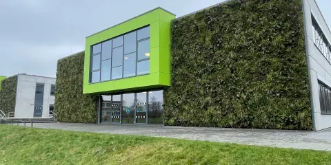 Nowoczesny budynek z zieloną elewacją domu, pokrytą gęstą roślinnością. Jasnozielony akcent architektoniczny z oknami.
