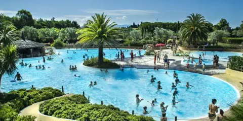 En stor pool med många badande människor, palmer och en vattenrutschkana. En härlig semesterbild från ett camping i Italien.