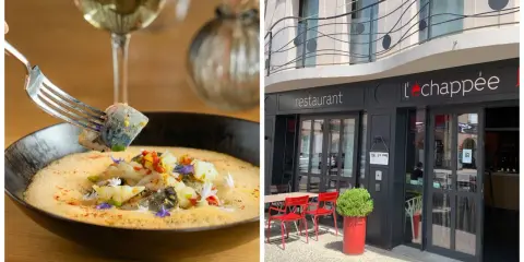 Délicieuse nourriture française dans un restaurant élégant. Un plat de poisson savoureux avec une touche de couleur, servi avec du vin blanc.