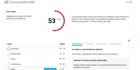 Ocena punktowa BIK (scoring) to 53/100. Niska ocena oznacza, że jesteś w grupie 20% osób z najniższym scoringiem.