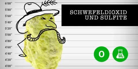 Gelber Schwefelklumpen mit Hut und Schnurrbart vor einer Messlatte. Text: "Schwefeldioxid und Sulfite". Wo sind Sulfite enthalten?