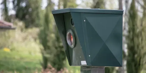 Zielony fotoradar, który może przynieść mandat z fotoradaru bez punktów karnych.