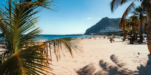 Słoneczne plaże Teneryfy z palmami w tle i górami. Idealne miejsce na relaks.
