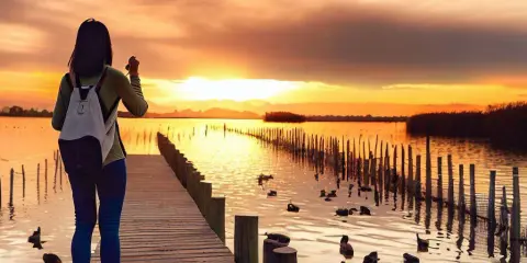 Albufera de Valencia: tu guía para la paella, aves y atardecer mágico