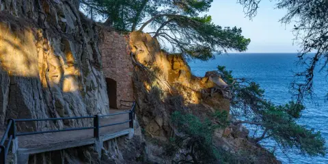 Kamienna ścieżka cami de ronda wije się wzdłuż skalistego wybrzeża. Morze lśni w oddali, a drzewa oplatają skały.