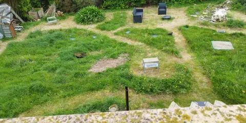 Un jardin envahi par l'herbe haute, prêt à être entretenu. Il faudra bientôt tondre la pelouse pour redonner une belle apparence à cet espace extérieur.