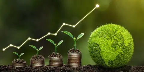 Wachsende Pflanzen auf Münzstapeln, die einen Aufwärtstrend symbolisieren, neben einer grünen Erde. Ein Beitrag zum Klimaschutz, der Wachstum und Hoffnung zeigt.