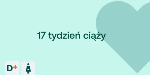 17 tydzień ciąży. Dziecko waży ok. 150g. Ikony D+ i kobiety w ciąży.