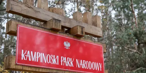 Drewniany drogowskaz z napisem "KAMPINOSKI PARK NARODOWY" i godłem Polski. W tle las.