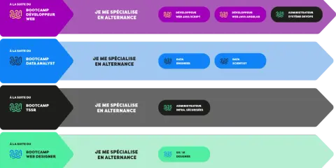 Après le bootcamp Data Analyst, spécialisation en alternance Data Engineer ou Data Scientist.