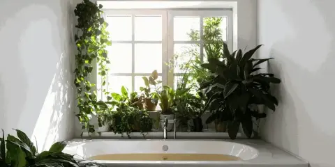 Wąska łazienka z oknem na końcu, pełna zieleni. Wanna z wodą, a na parapecie mnóstwo roślin.