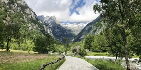 Sentiero in Val Masino, tra prati fioriti e montagne imponenti. Cosa vedere? Natura incontaminata e panorami mozzafiato.