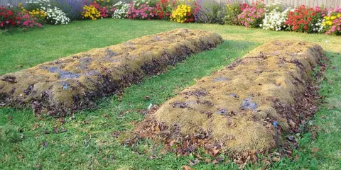 Deux plates-bandes en lasagne, couvertes de feuilles mortes et de paillis, attendent d'être plantées dans un jardin fleuri.