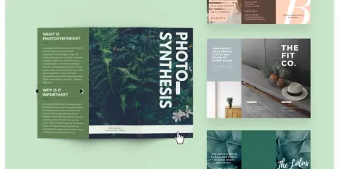 Ejemplos de programas para hacer folletos con diseños de naturaleza y bodas.
