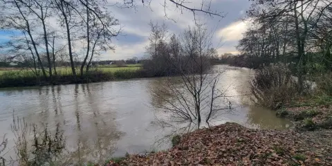 Ein schlammiger Fluss fließt durch eine herbstliche Landschaft. Der boker kanal radweg ist hier ein schöner Ort für eine ruhige Auszeit.