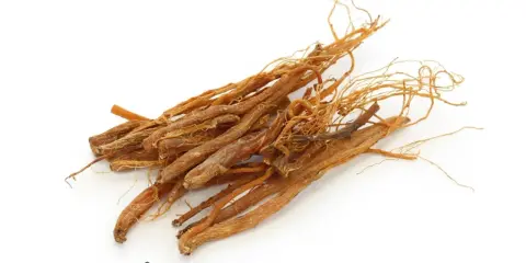 Racines de ginseng séchées, connues pour leurs ginseng bienfaits homme, sur fond blanc.