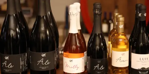 Bottiglie di spumante e passito del Podere dell'Angelo Rimini, tra cui "Ale" e "Milly", pronte per essere gustate.