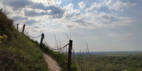Ścieżka na zboczu, prowadząca ku widokowi na las i równiny. Może to widok z najwyższego szczytu Gór Pieprzowych?