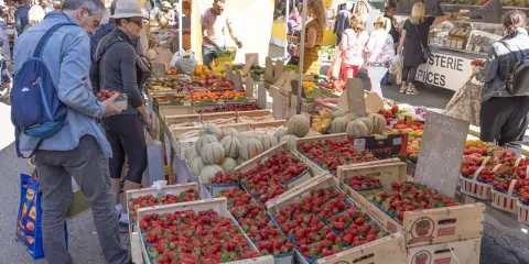Le marché de Forcalquier animé, avec des étals débordant de fraises, melons et fruits. Des clients font leurs achats sous le soleil.