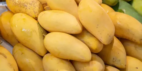 Stos dojrzałych, żółtych mango. Warto sprawdzić mango indeks glikemiczny przed spożyciem.