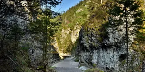 Kamienista ścieżka prowadzi przez wąwóz do drewnianego mostku. Idealne zakopane trasy dla seniorów, gdzie można podziwiać skalne ściany i las.