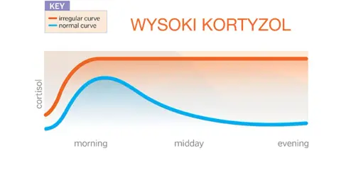 Wysoki kortyzol? Rozpoznaj objawy i obniż go naturalnie!