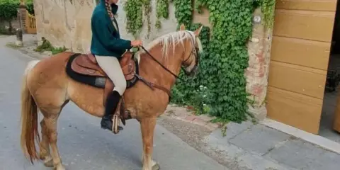 Cavalli toscana: una persona cavalca un cavallo biondo lungo una strada di ciottoli, con edera che ricopre un muro di pietra.