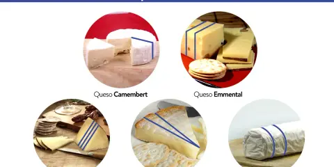Guía visual sobre como cortar queso Camembert, Emmental, Castellano, Brie y de Cabra correctamente.