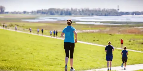 Läuferinnen und Läufer beim Wedeler Halbmarathon auf einer grünen Wiese mit Blick auf das Wasser.