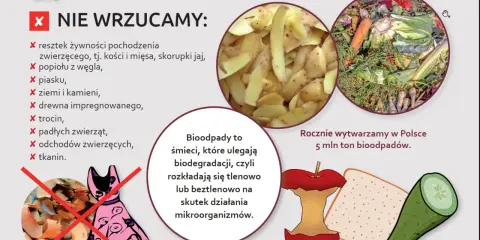 Grafika informuje, co wrzucać do brązowego pojemnika na bioodpady: resztki warzyw, owoców, fusy. Rocznie w Polsce powstaje 5 mln ton bioodpadów.