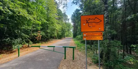 Pustynia Błędowska trasa rowerowa. Znak wskazuje drogę przez las.
