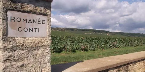 Entrée du vignoble Romanée-Conti, réputé pour produire la bouteille de vin la plus chère du monde. Paysage vallonné et ciel nuageux.